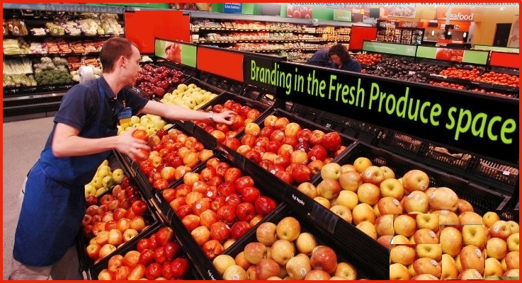 Why branding is a non-negotiable investment in the Fresh produce (FFV) Space!